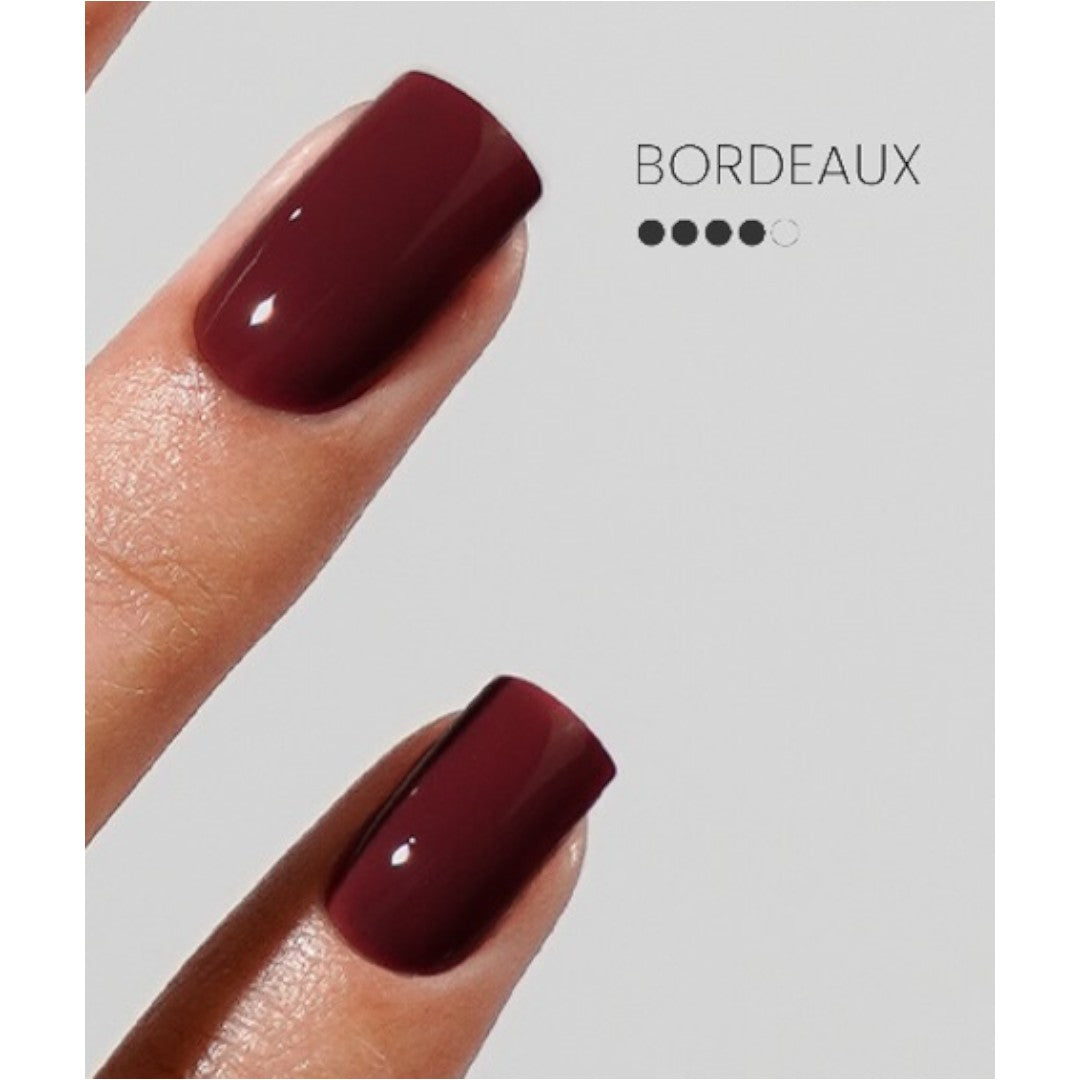 Akzéntz Luxio Gel Colour - F/W 2025 Femininity Collection