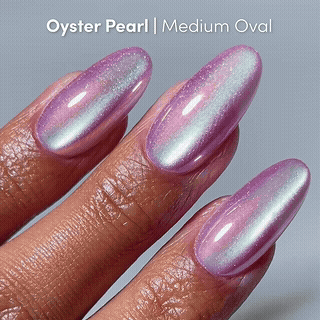 Timeless Oyster