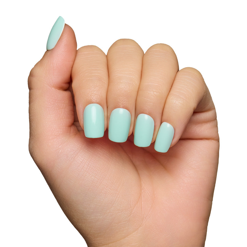 Soft Teal