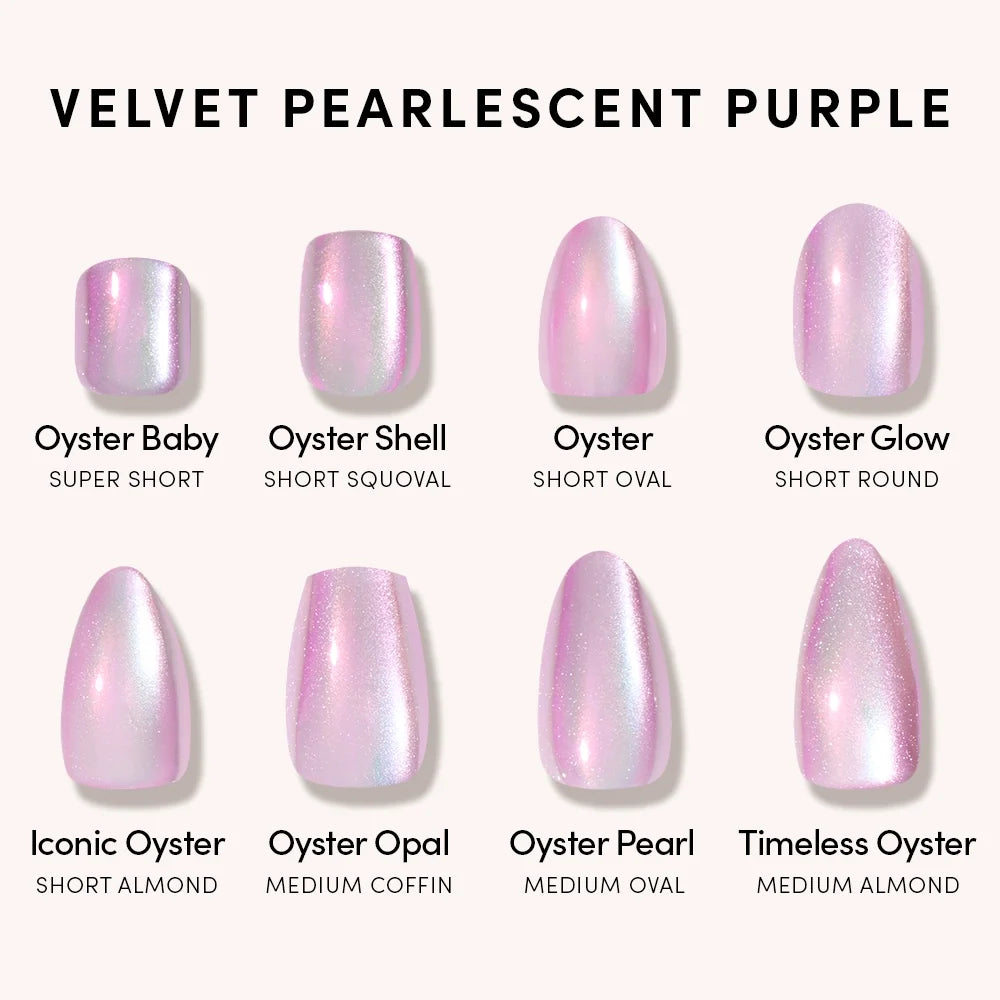 Timeless Oyster