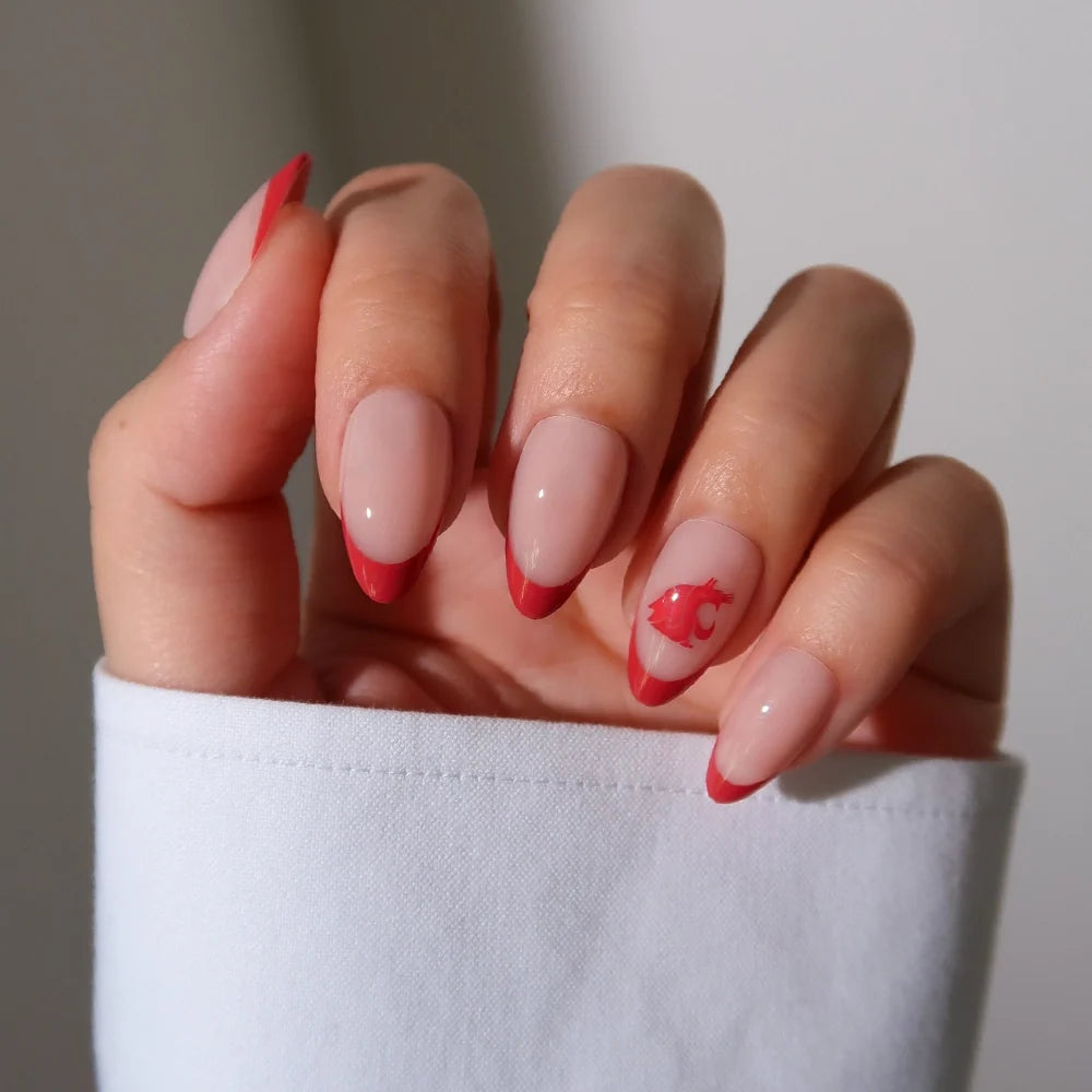 Collegiate Press-On Nails