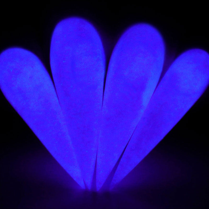 ELECTRIC DAISY